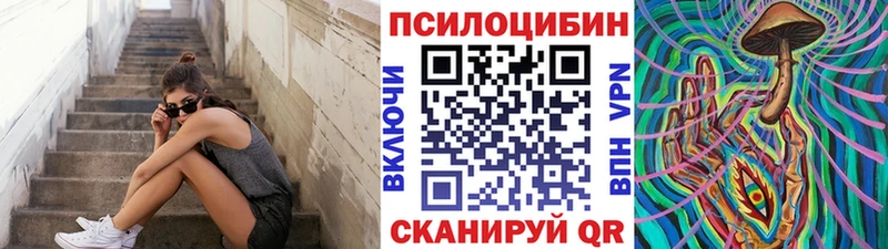 Галлюциногенные грибы Psilocybine cubensis  Медногорск 